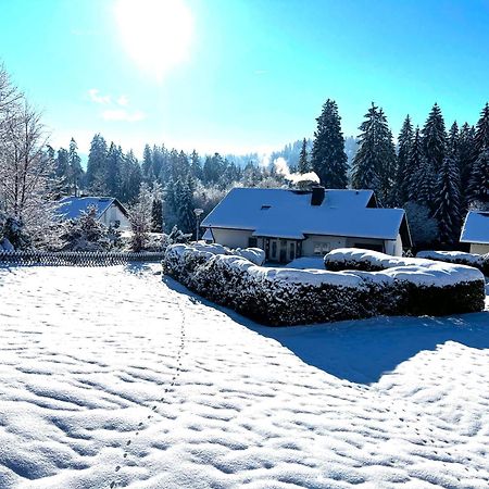 Michels Apartment Titisee-Neustadt Exterior photo